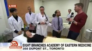 Eight Branches CP24 Segment 1