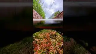 the beauty of nature - You didn't think it was that beautiful #satisfying