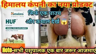 HUF- Powder|| Healthy Udder Formulation || Mastitis|| Udder Growth Himalaya new product