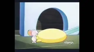 tom and Jerry  little school mouse