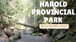 This Hidden Camping Paradise Changed Everything-Harold Provincial Park BC Canada