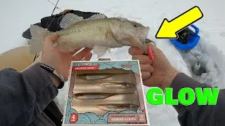 Using CUSTOM GLOW 10,000 Fish Baits On The Ice!! #fishing #icefishing #catchco #winter