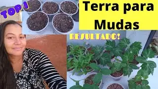 Como fazer SUBSTRATO para ter MUDAS TOP
