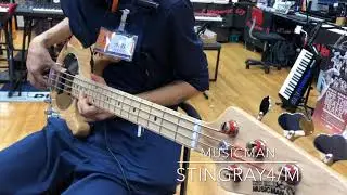 【ベース弾き比べ】MUSICMAN「Stingray4/M」
