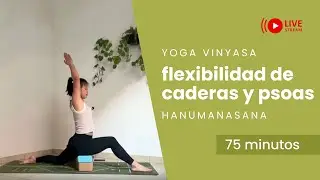 Yoga vinyasa para hanumanasana: flexibilidad de caderas y psoas | 75 min