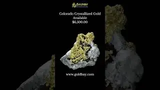 Colorado Crystallized Gold 49x34x33 mm #shortsvideo #shorts