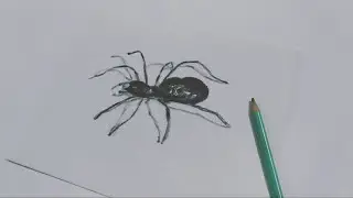 How to draw a spider /how to draw a realistic spider/how to draw spider