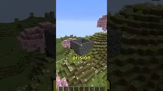 LA PRISI&Oacute;N M&Aacute;S SEGURA DE MINECRAFT