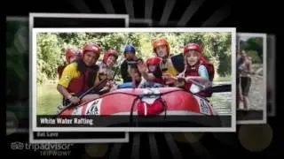 Sumatra Jungle Tours