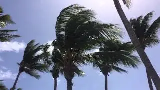 Cabarete Wind Song