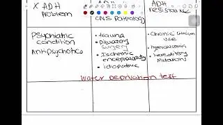 Polyuria & Dilute Urine | USMLE Step 2 High-Yield