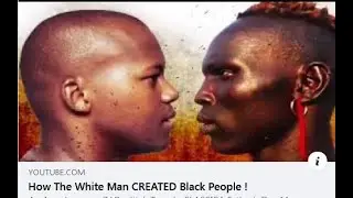 R Black Americans A Genetically Modified Product Of White People ?
