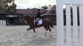Show Jumping Legend George Morris Riding a Grand Prix Dressage Horse