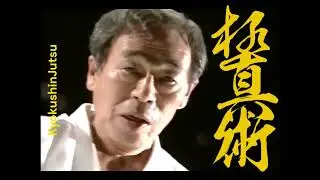 Traditional Japanese Karate Fundamentals Training Shotokan Martial Way KyokushinJutsu