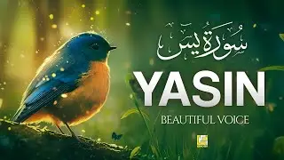 Surah Yaseen (Yasin) سورة يس | Soothing Lofi Quran for Ultimate Peace & Deep Healing #surahyasin