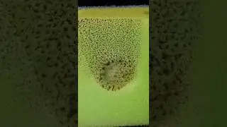 Reaction of a Scouring Pad to High Temperature! #MacroVideo #MacroShot #shortvideo  #ScouringPad