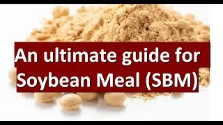 Farm to Feed: Journey of Soybean Meal (SBM) & its Impact on Animal Nutrition, benefits, uses & more