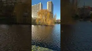 بدأت قناة 