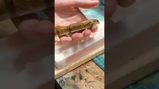 Making a Lamprey Swimbait #fishinglure #bassfishing #luremaking #baitmaking #fishing