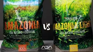 Amazonia vs Amazonia light - ADA Basics series - English