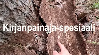 Kirjanpainaja-spesiaali