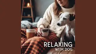 Music for Dogs as Relaxing