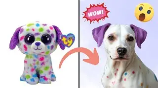 Beanie Boos in real life (part 3) 