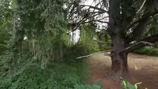 Flying through tight spaces