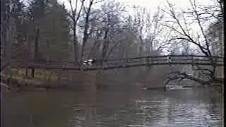 2 bridge resonance 2nd harmonic side