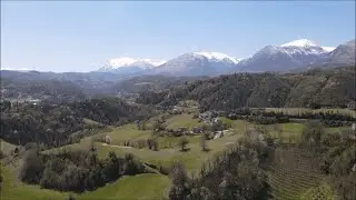 La Tenuta del Conte