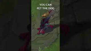 YOU CAN PET NAAFIRI