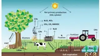 Pt365Vison Ias Corbon Forming Global Warming#UPSC #discussion #motivation #upsc #akhilesh_maurya