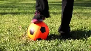 POOF Foam Soccer Balls 750