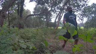 Dance Deep Forest Camping। बड़ी मुश्किल से पहुंचे। Tiger aaya camping । @BTCBorntoCamping