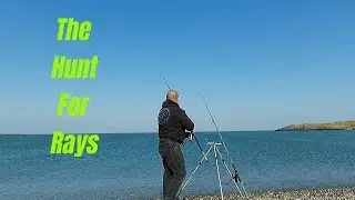 Cemlyn Bay Rays and begginners set up - Sea Fishing Wales!
