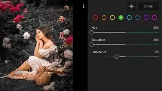 Lightroom classic black tone photo editing//preset download free//