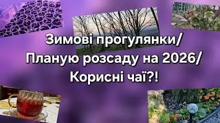 Зимові прогулянки/Планую розсаду на 2026/ Корисні чаї?!