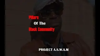 PROJECT A.S.W.A.M | Pillars Of The Black Community
