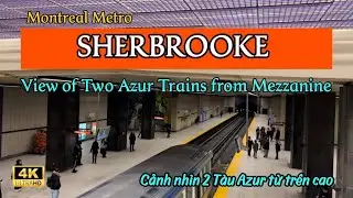 [4K]View of Two Azur From Sherbrooke Mezzanine |Cảnh nh&igrave;n 2 Azur từ Tầng lửng| January 20, 2026 