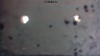 Bird Box Camera Live Stream