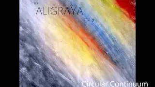 Circular Continuum (Track) Full Tune & Cover Art Video - Trio Aligraya Music