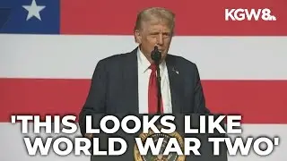 Trump said he wants to use Democrat-led cities as 'training grounds' for military