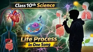 You Will Love❤️ Life Processes Chapter After Listening to this Song | Class 10th | CBSE