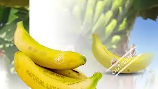 Natural Branding&copy; - Banana [A716]