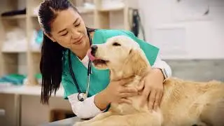 Chula Veterinary Research and Innovation