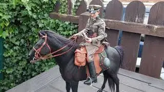 1/6  Scale WWII German Wehrmacht Cavalry Officer - Alert Line, DiD