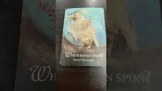 #482 Libra - Spirit Animal Oracle Message
