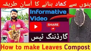 Paton sy khad banany ka Tareeqa| How to Make Leaves Compost?