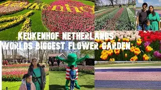 Keukenhof Netherlands | World's Biggest Flower Garden | Tulips | Tamil | தமிழ் |