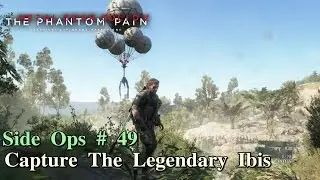 Metal Gear Solid V: The Phantom Pain ★ Side Ops # 49: Capture The Legendary Ibis